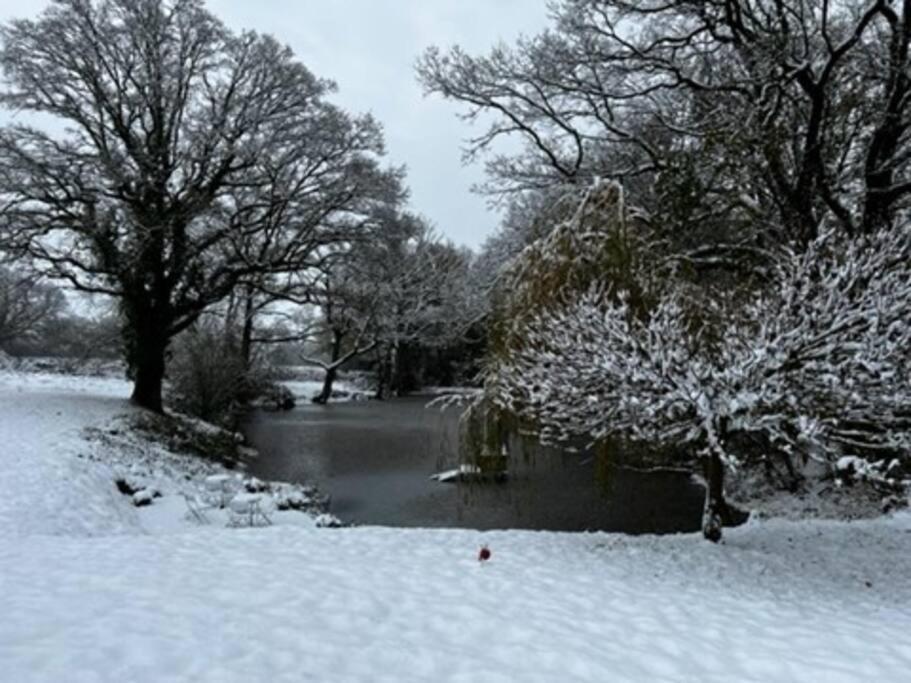 Charming Picturesque Cottage - Nr Tenterden & Rye, Pets Welcomed Rolvenden Dış mekan fotoğraf
